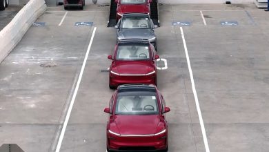إطلاق سيارة Tesla Model Y ذاتية القيادة في 12 يونيو بعد نجاح التجارب المستقلة في أوستن