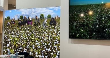 167 شركة، منها 102 عالمية، تروج للقطن المصري في قطاع الصناعة
