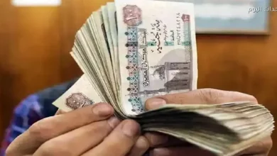 9 حقائق رئيسية حول توحيد الأجور والمرتبات: تحليل شامل