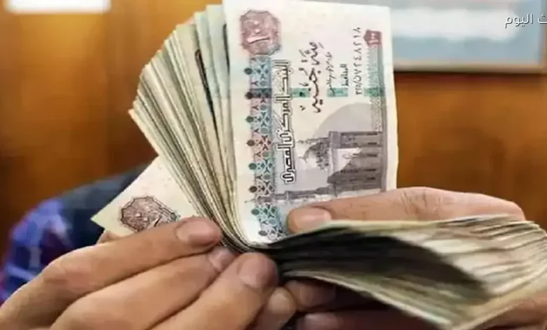 9 حقائق رئيسية حول توحيد الأجور والمرتبات: تحليل شامل