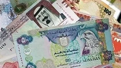 أسعار صرف العملات الأجنبية والعربية بتاريخ 12 يناير 2026 في البنك المركزي