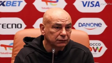 الزياتي يثني على انسحاب الصحفيين المصريين من مؤتمر مصر ونيجيريا