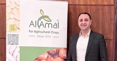 المجلس التصديري للحاصلات الزراعية يهدف إلى تصدير 200 ألف طن من التمور بحلول عام 2027