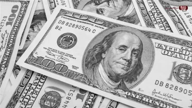 تحديثات الصرف.. سعر الدولار مقابل الجنيه اليوم الاثنين 5 يناير في البنوك المصرية خلال تعاملات اليوم