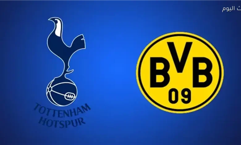 توتنهام يتفوق على بوروسيا دورتموند 2-0 في دوري أبطال أوروبا