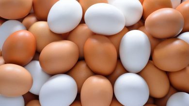 زيادة ملحوظة في أسعار البيض الأبيض والأحمر بمقدار جنيه واحد اليوم الأربعاء