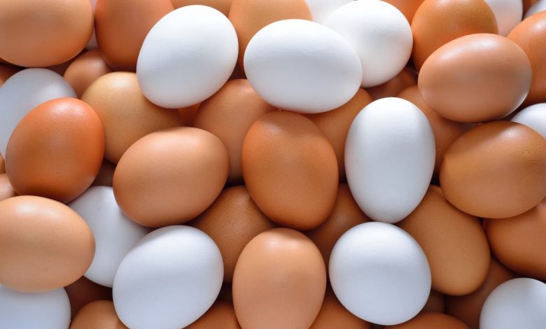 زيادة ملحوظة في أسعار البيض الأبيض والأحمر بمقدار جنيه واحد اليوم الأربعاء
