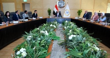 كامل الوزير: أهمية توسيع استخدام الطاقة الشمسية في المصانع الجديدة