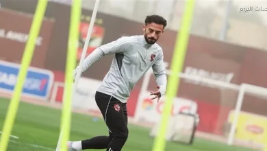 ريهام حمدي تشارك تفاصيل عرض الكرمة العراقي لأحمد عبد القادر