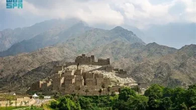 8 آلاف جولة رقابية في الباحة قبل العيد تضبط 387 مخالفة وتصدر 3870 إنذارًا