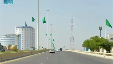 أمانة القصيم ترفع 25 ألف علم احتفاءً بيوم العلم في كافة مدن ومحافظات المنطقة