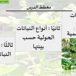 أمطار الربيع تعزز نمو النباتات الحولية وتساهم في تحسين الإنتاج الزراعي