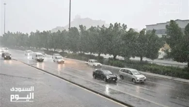 أمطار متفاوتة تضرب مناطق المملكة وتؤثر على الحياة اليومية