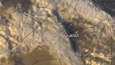 الأرصاد: أمطار متوسطة إلى غزيرة متوقعة على الرياض ومحافظاتها حتى الخميس