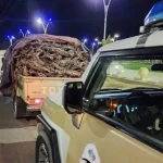 الأمن البيئي يلاحق مخالفين لنقل حطب محلي في الرياض ويقر غرامة 16 ألف ريال