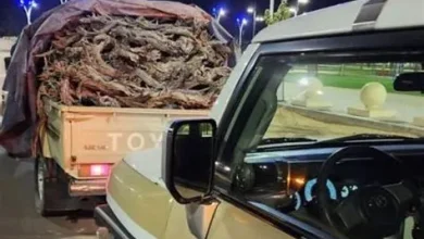 الأمن البيئي يلاحق مخالفين لنقل حطب محلي في الرياض ويقر غرامة 16 ألف ريال