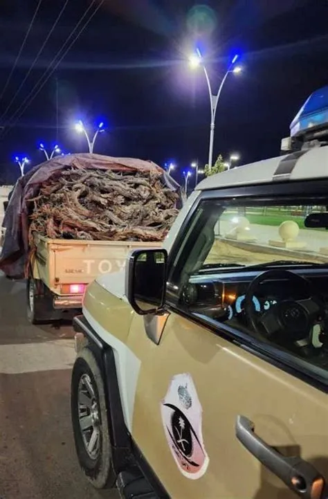 الأمن البيئي يلاحق مخالفين لنقل حطب محلي في الرياض ويقر غرامة 16 ألف ريال