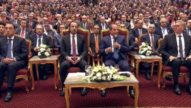 الرئيس السيسي يحذر من أن توقف نشاط الطاقة يحتاج سنوات لاستعادة الإنتاج لمعدلاته الطبيعية