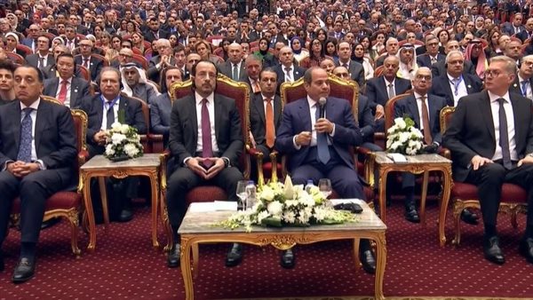 الرئيس السيسي يحذر من أن توقف نشاط الطاقة يحتاج سنوات لاستعادة الإنتاج لمعدلاته الطبيعية