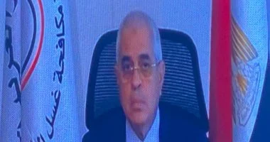 المستشار أحمد سعيد يؤكد أهمية البنوك المراسلة كركيزة للنظام المالي العالمي