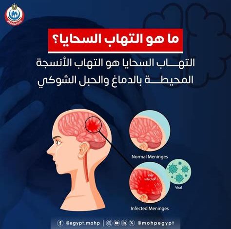 تقرير يكشف عن 259 ألف وفاة بسبب التهاب السحايا في 2023 والعقبات تعرقل تحقيق أهداف القضاء عليه