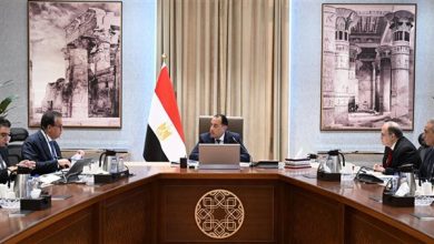 رئيس الوزراء يتابع توافر المستحضرات الدوائية والخامات الفعالة في سوق الدواء