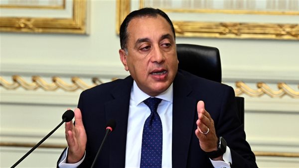 رئيس الوزراء يناقش استراتيجيات الطاقة مع قادة الشركات العالمية في مصر