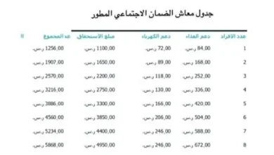 شروط الضمان الاجتماعي المطور للمرأة المتزوجة تكشف عن مزايا جديدة