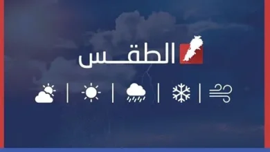 ضباب وانخفاض درجات الحرارة إلى 8 درجات مئوية في منطقة طريف
