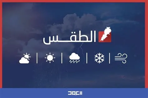 ضباب وانخفاض درجات الحرارة إلى 8 درجات مئوية في منطقة طريف