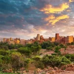 ضبط كميات من الحطب المحلي في محمية الإمام فيصل بن تركي وعقوبة النقل تصل إلى 16 ألف ريال