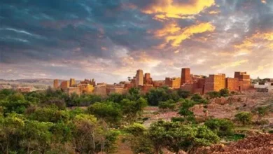 ضبط كميات من الحطب المحلي في محمية الإمام فيصل بن تركي وعقوبة النقل تصل إلى 16 ألف ريال