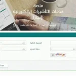 طريقة الاستعلام عن رصيد الجوازات برقم الهوية ورقم الجواز