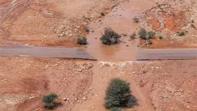 عدسة راجس الخضاري توثق بردية جنوب الغريف بين تربة والخرمة