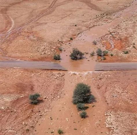 عدسة راجس الخضاري توثق بردية جنوب الغريف بين تربة والخرمة