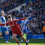 فيديو حصري: كيركيز يُسجل هدف التعادل لليفربول ضد برايتون في الدوري الإنجليزي الممتاز
