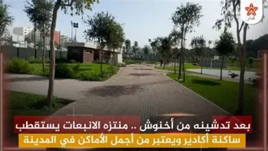 منتزه السليّل بالنبهانية يجذب الزوار بعد تزيين أراضيه بالخضرة جراء الأمطار