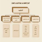 منصة "قوى" تطلق آلية موحدة لاحتساب نسب التوطين في العقود