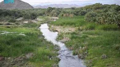 وادي الحريق يستقطب الزوار بمشاهد طبيعية ساحرة شمال شقراء