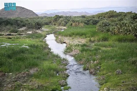 وادي الحريق يستقطب الزوار بمشاهد طبيعية ساحرة شمال شقراء