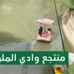 وادي الحريق يستقطب السياح بجمال الطبيعة الربيعية شمال شقراء
