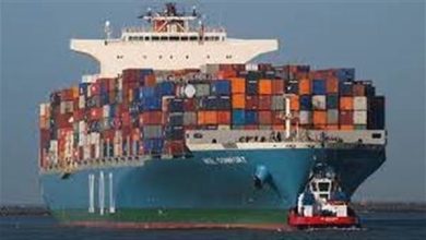 230 ألف طن صادرات غذائية في أسبوع والسعودية وسوريا واليمن تتصدر قائمة المستوردين