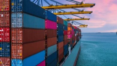 4149 رسالة غذائية مصدرة بإجمالي 237 ألف طن والسعودية في مقدمة المستوردين