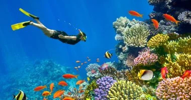 63 ألف غرفة سياحية في سيناء تعزز نمو قطاع السياحة في أرض الفيروز