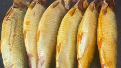 أسعار الرنجة في المجمعات الاستهلاكية بمناسبة شم النسيم تبدأ من 145 جنيهًا