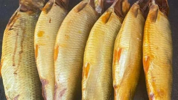 أسعار الرنجة في المجمعات الاستهلاكية بمناسبة شم النسيم تبدأ من 145 جنيهًا