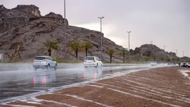 أمطار ورياح قوية تضرب حائل وتقلص الرؤية بشكل ملحوظ