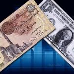 ارتفاع سعر الدولار في ختام تعاملات الأربعاء بالبنوك المصرية