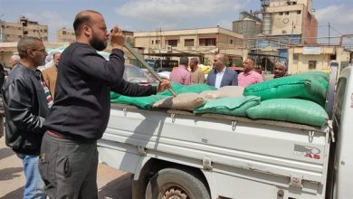 استلام 29 طنًا من القمح في اليوم الأول للتوريد بكفر الشيخ