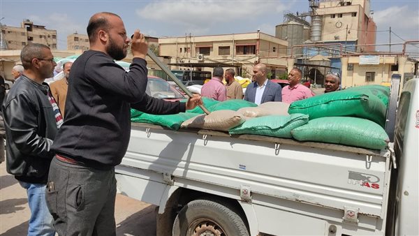 استلام 29 طنًا من القمح في اليوم الأول للتوريد بكفر الشيخ